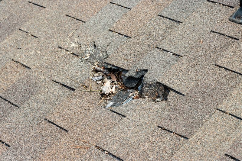Asphalt Shingle Roof Repair